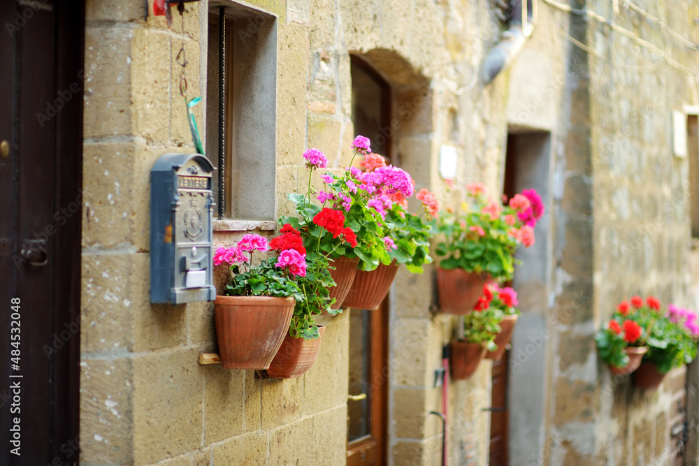 Flowers on narrow old streets of the famous Pitigliano town, located atop a volcanic tufa ridge. Beautiful italian towns and villages. Etruscan heritage, Grosseto, Italy.