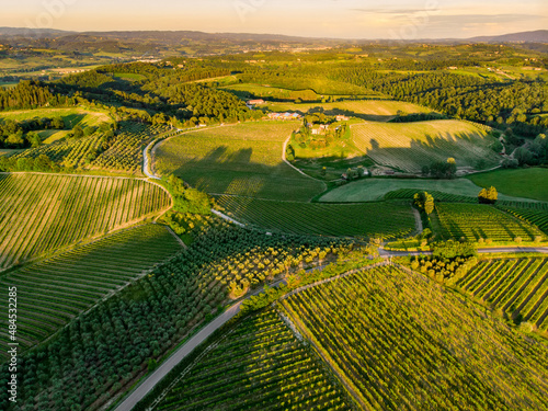 Tableau sur toile Aerial view of endless rows of grapevines around San Gimignano town