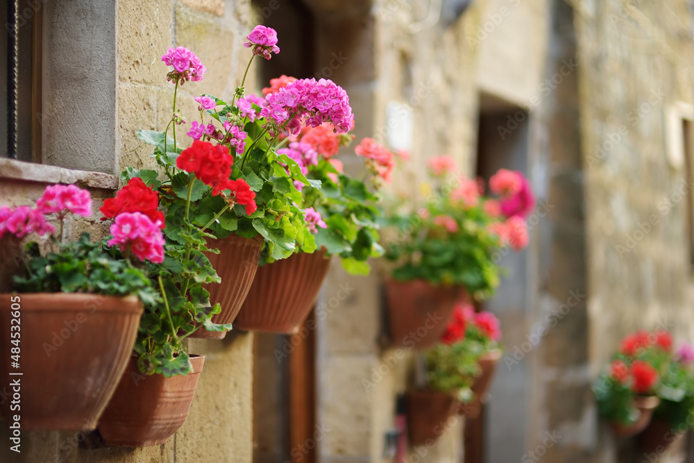 Flowers on narrow old streets of the famous Pitigliano town, located atop a volcanic tufa ridge. Beautiful italian towns and villages. Etruscan heritage, Grosseto, Italy. Flowers on narrow old streets of the famous Pitigliano town, located atop a volcanic tufa ridge. Beautiful italian towns and villages. Etruscan heritage, Grosseto, Italy.