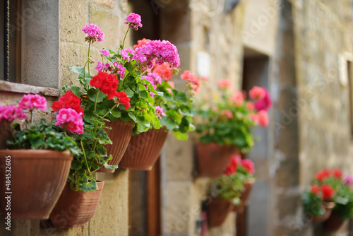 Fototapeta Naklejka Na Ścianę i Meble -  Flowers on narrow old streets of the famous Pitigliano town, located atop a volcanic tufa ridge. Beautiful italian towns and villages. Etruscan heritage, Grosseto, Italy.