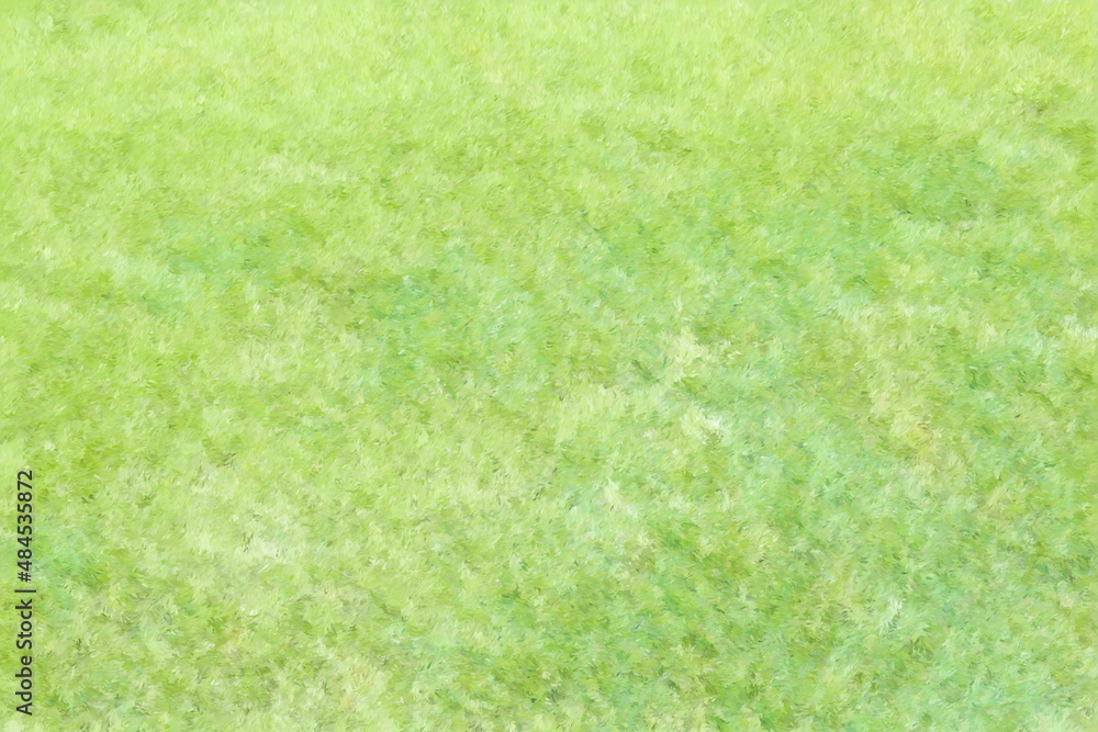 © hanatopan - Grass background. Lawn texture illustration