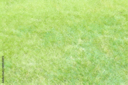 Grass background. Lawn texture illustration
