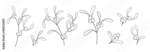 Set of different branches of mistletoe flowers on white background.