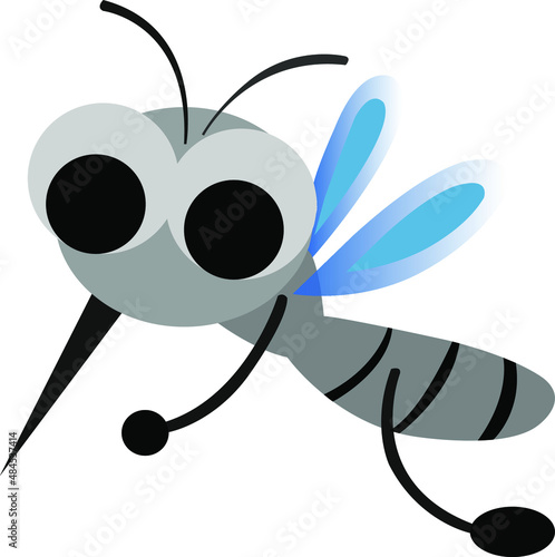 Aedes mosquitoes