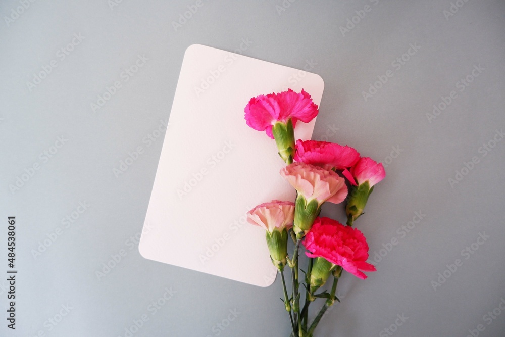 Fototapeta premium Spring greeting concept. A blank card and pink Carnation decoration on pale green background. Mother's day, Women' s day, Birthday and Father's day concept flower composition.