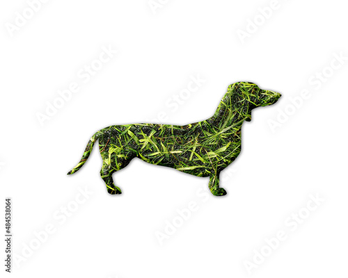 Dog Dachshund Pet Grass green Logo icon illustration
