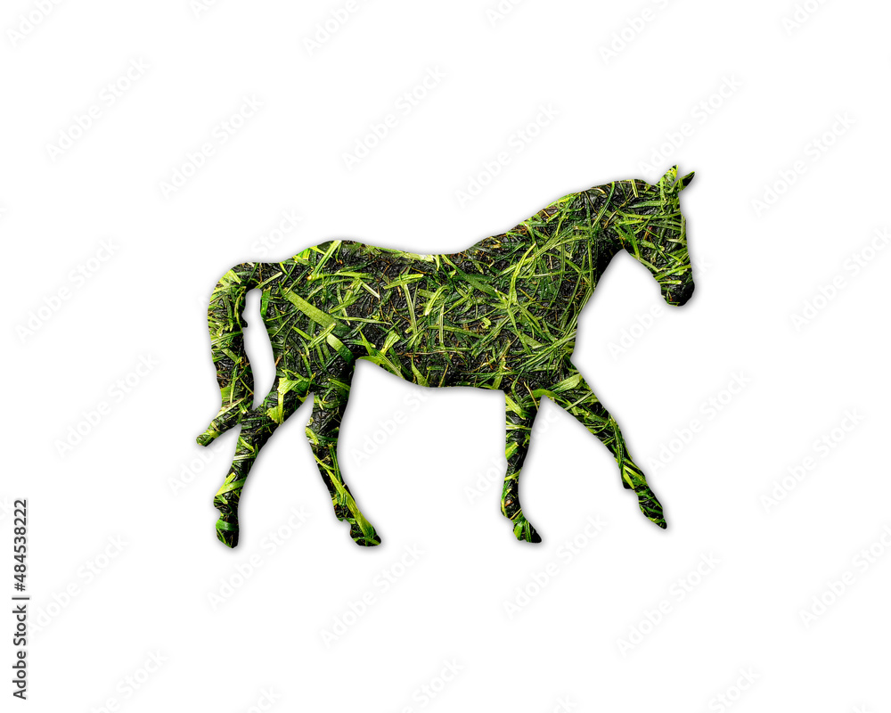 Horse Animal Grass green Logo icon illustration