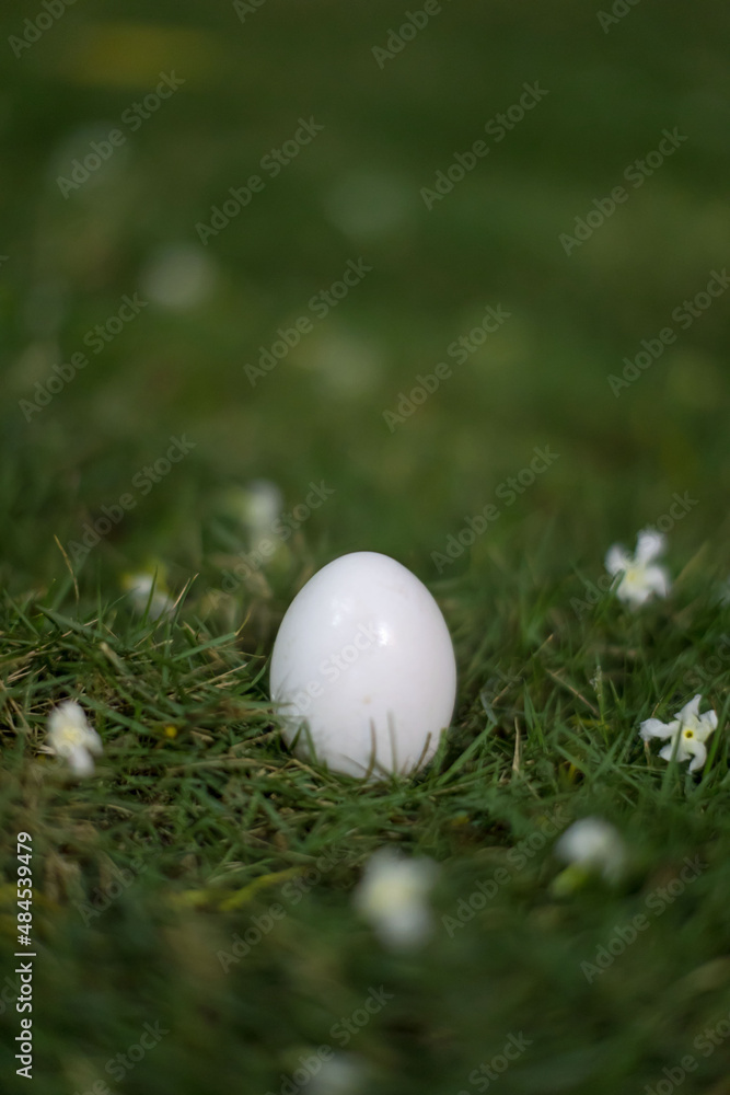 Easter white egg in the grass with white blossoms Easter white egg in the grass with white blossoms