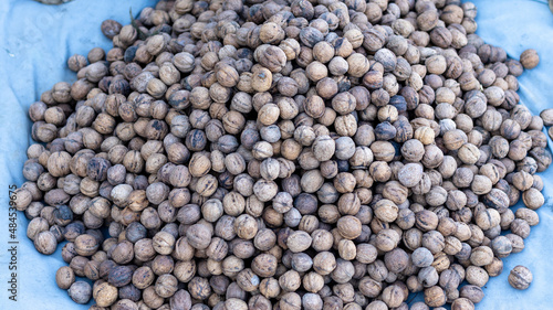 Walnuts crop harvested in the season