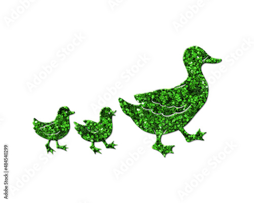 ducks birds Green Glitter Icon Logo Symbol illustration
