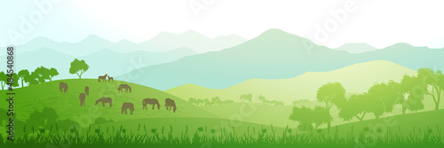 Panoramic view of green hills and mountains on sunny morning, horses graze in the meadow, vector illustration