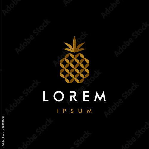 abstract golden geometric ananas pineapple logo icon shape vector, in trendy minimal luxury style design Illustration
