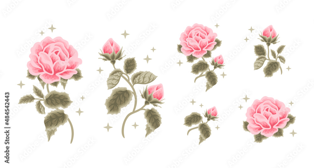 Set of vintage romantic pastel pink rose flower feminine logo, beauty label illustration and clipart elements
