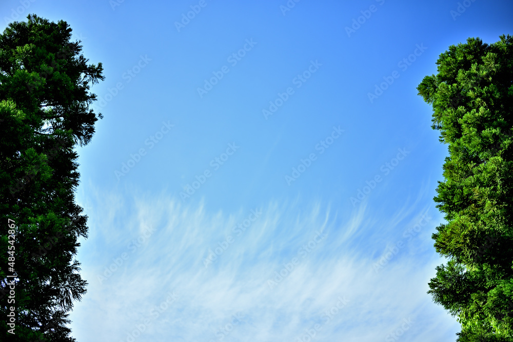 Obraz premium 夏空の雲