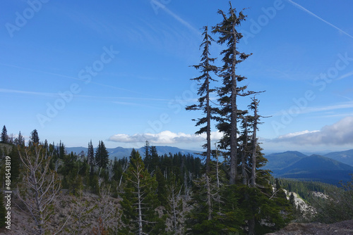 Mt. Hood National Forest Overlook