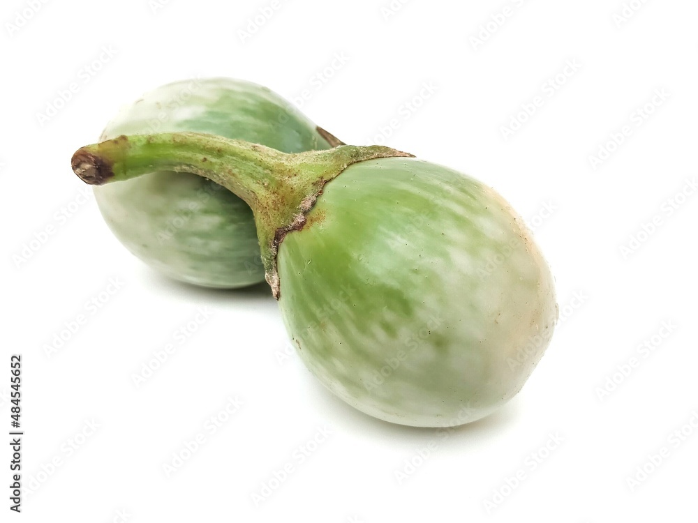 Green eggplant. Fresh organic. Chemical free. Isolated on white background. Green eggplant. Fresh organic. Chemical free. Isolated on white background.