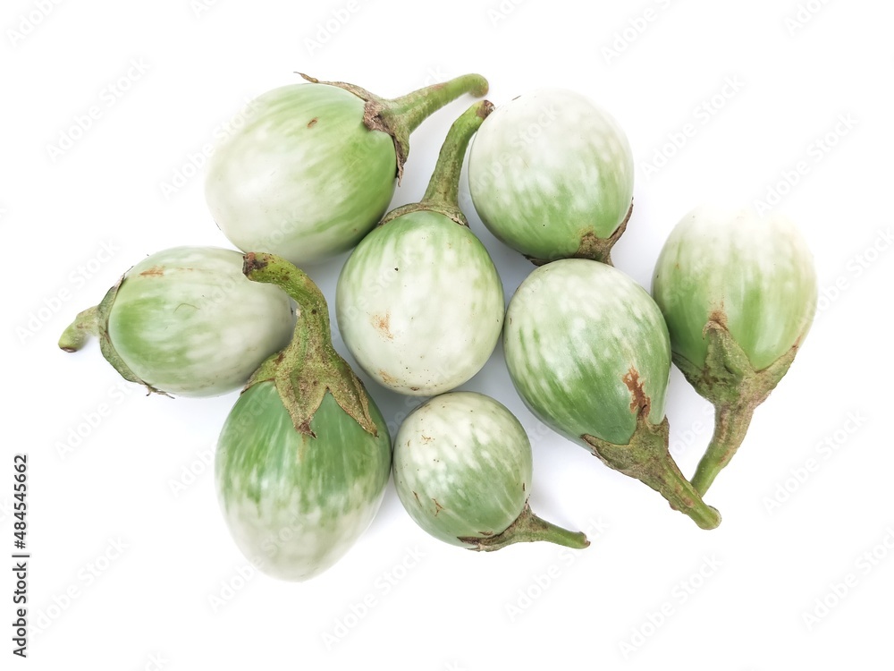 Green eggplant. Fresh organic. Chemical free. Isolated on white background. Green eggplant. Fresh organic. Chemical free. Isolated on white background.