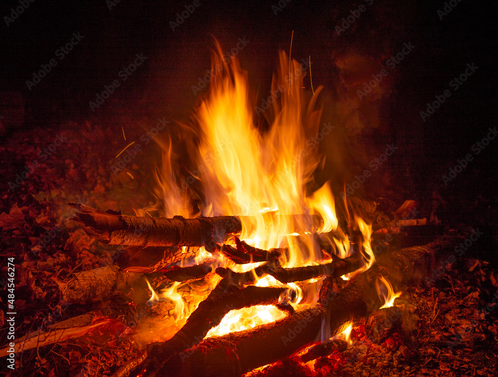 Autumn night campfire, blurred orange fire flames in the dark, burning birch wood, dry foliage around, red shining coals Autumn night campfire, blurred orange fire flames in the dark, burning birch wood, dry foliage around, red shining coals