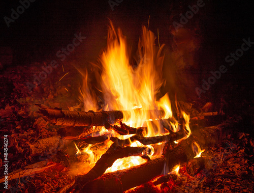 Autumn night campfire, blurred orange fire flames in the dark, burning birch wood, dry foliage around, red shining coals