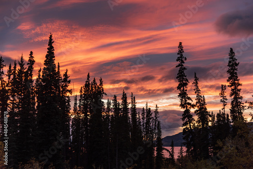 Fototapeta Naklejka Na Ścianę i Meble -  Beautiful sunset in Canada during fall with bright pink, swishy clouds forming above a northern landscape. 