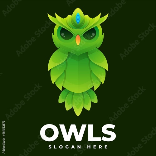 Vector Logo Illustration Owls Gradient Colorful Style. photo