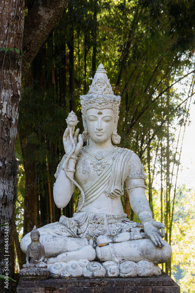 buddha statue buddha statue