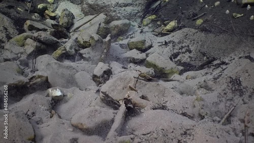 Wallpaper Mural View of the freshwater spring with rocks on the bottom, close-up view. Torontodigital.ca