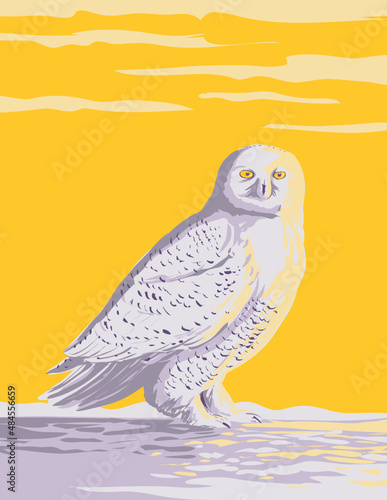 WPA poster art of a snowy owl, polar owl, white owl or Arctic owl in the tundra of the Arctic regions of North America done in works project administration style or federal art project style.