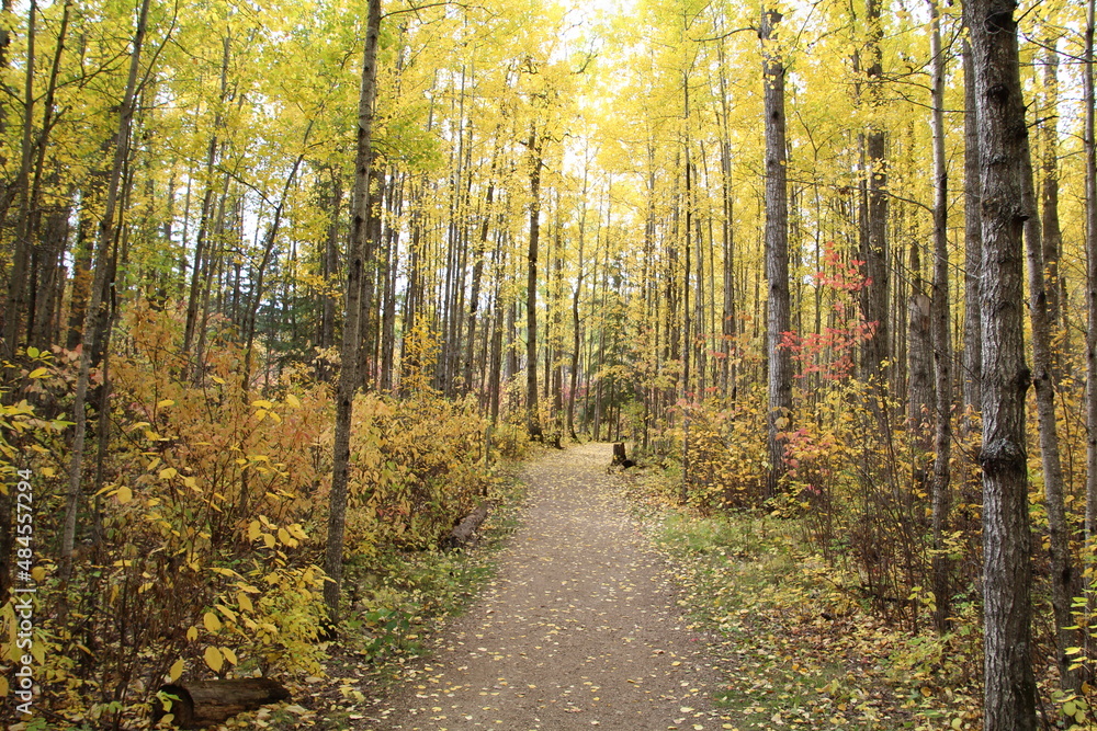 Heart Of Autumn, Whiitemud Park, Edmonton, Alberta