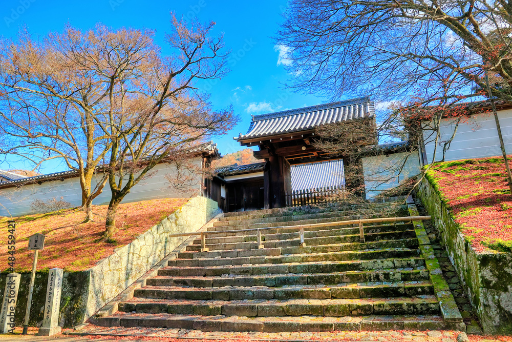 京都、曼殊院門跡の勅使門