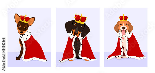 A set of dogs with crowns in royal clothes. Cartoon design.
