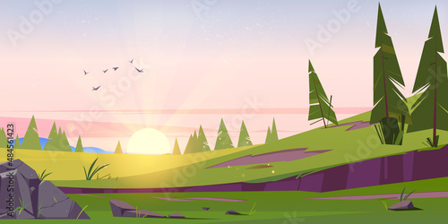 Early morning cartoon nature landscape with sun rising over green field with conifers trees and rocks under pink sky with flying birds. Scenery background, summer or spring meadow, Vector illustration
