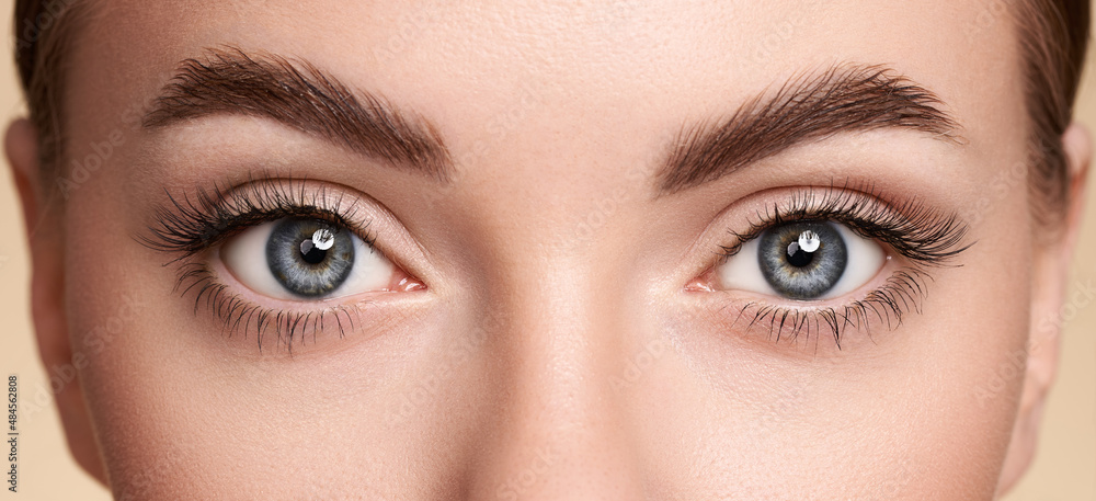 Obraz premium Female Eye with Extreme Long False Eyelashes. Eyelash Extensions. Makeup, Cosmetics, Beauty. Close up, Macro