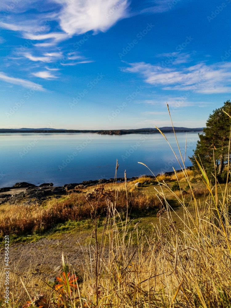 The White Sea coast with trees in the foreground and stones in the water on a sunny day. Karelia. The White Sea coast with trees in the foreground and stones in the water on a sunny day. Karelia.