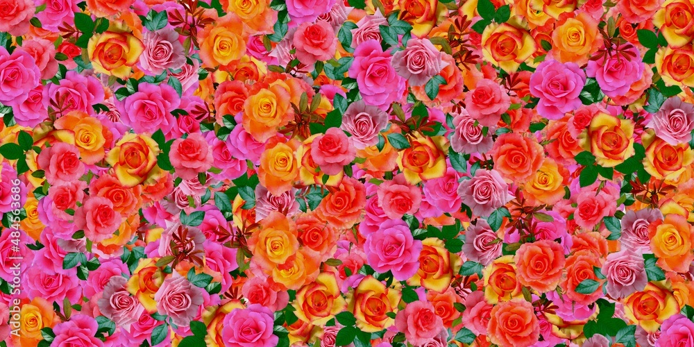 Colorful flowers abstract pattern texture Colorful flowers abstract pattern texture