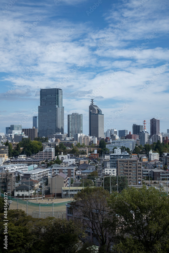 Obraz premium 仙台市街