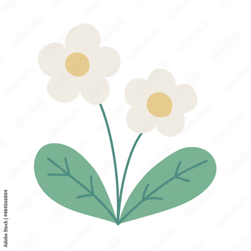 Flower Flower