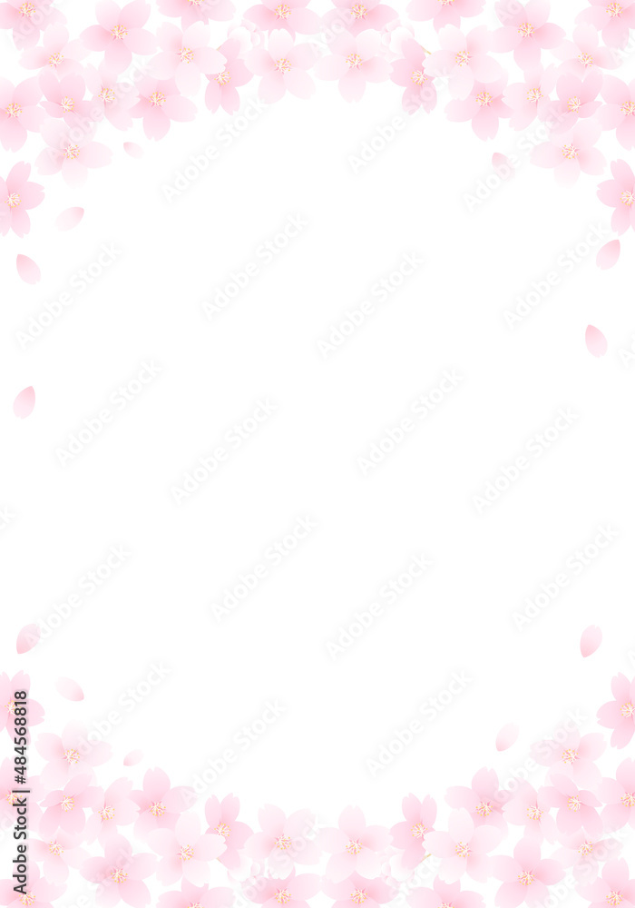 桜の花の白い背景のベクターイラスト(コピースペース )