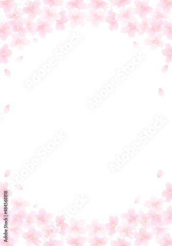 桜の花の白い背景のベクターイラスト(コピースペース ) © Honyojima
