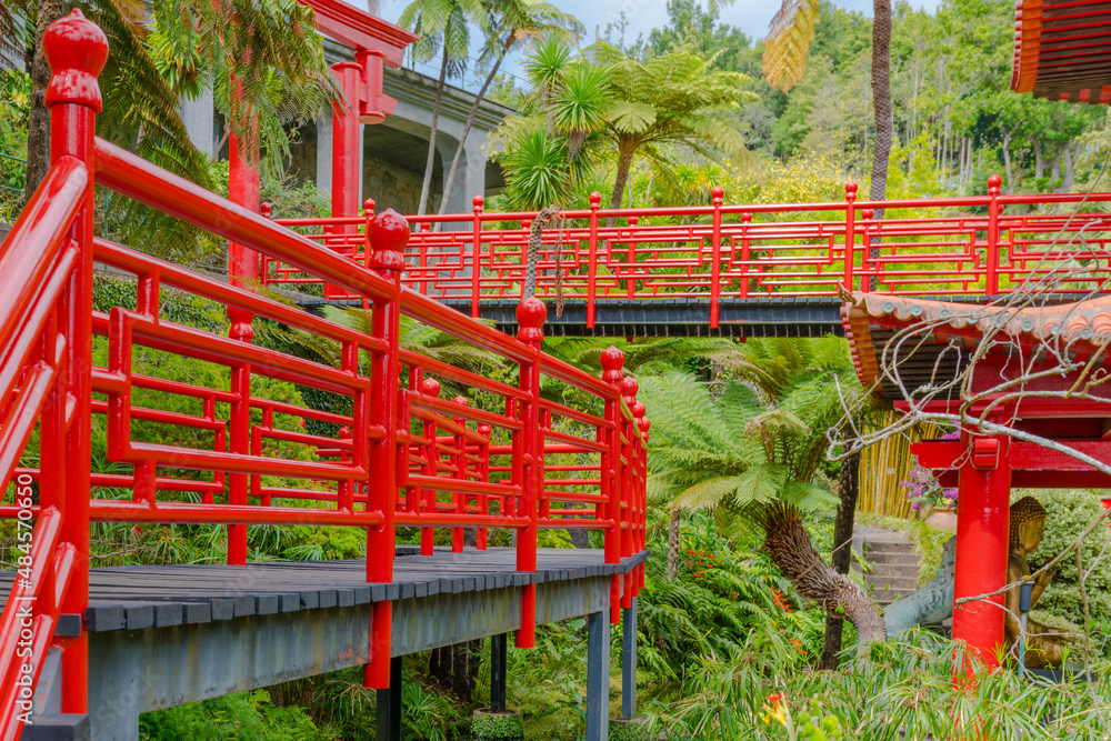 Botanical garden at Funchal, Madeira Botanical garden at Funchal, Madeira
