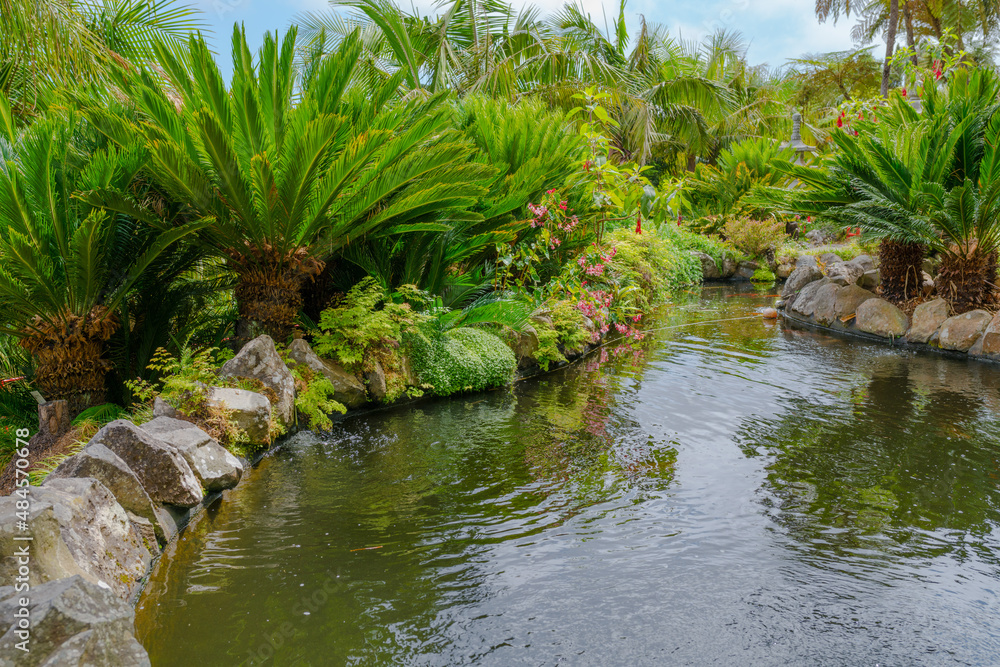 Botanical garden at Funchal, Madeira Botanical garden at Funchal, Madeira