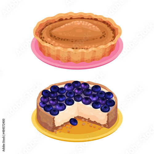 Sweet homemade pies set. Delicious tasty dessert with blueberry and whipped cream vector illustration