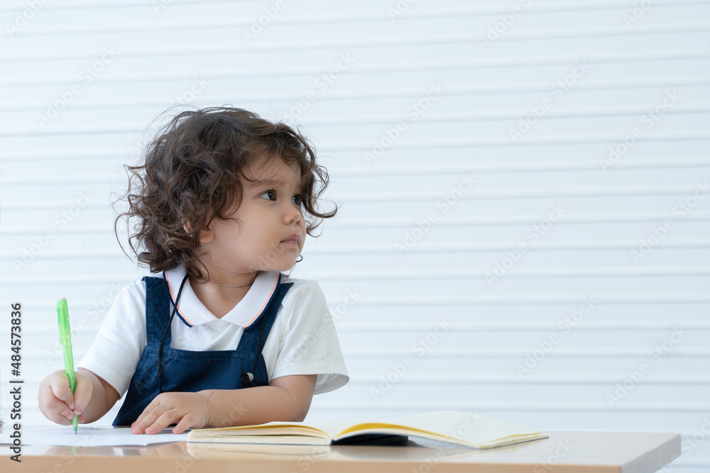 Little Caucasian cute kid girl writing or drawing on book in living room at home. White background Little Caucasian cute kid girl writing or drawing on book in living room at home. White background