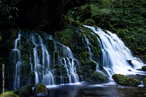 苔が生えた緑の岩と滝の流れ © DKF