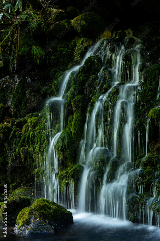Fototapeta premium 苔が生えた緑の岩と滝の流れ