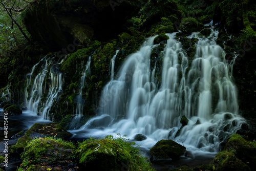 Fototapeta Naklejka Na Ścianę i Meble -  苔が生えた緑の岩と滝の流れ
