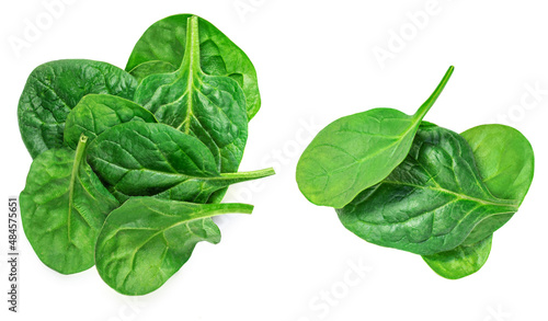 Spinach leaves isolated on white background. Fresh Spinach Closeup. Top view. Flat lay..