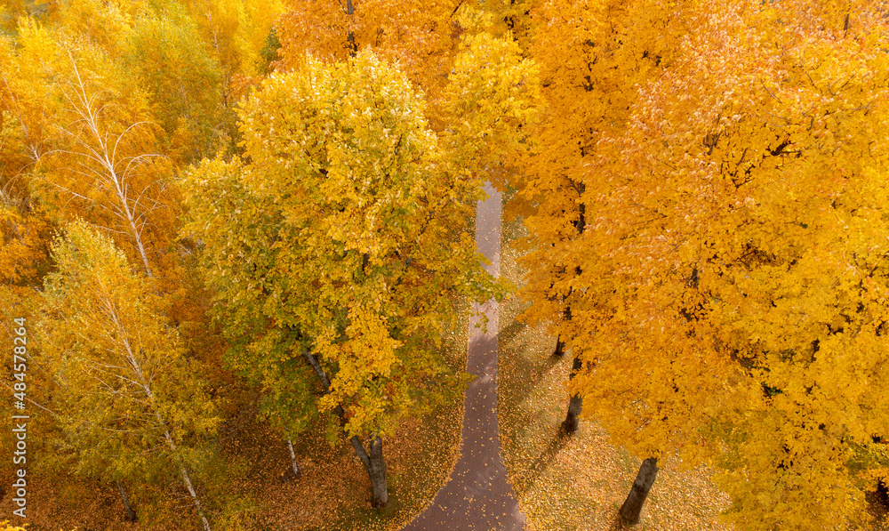 Bright yellow red and orange trees in the autumn park. Bright yellow red and orange trees in the autumn park.