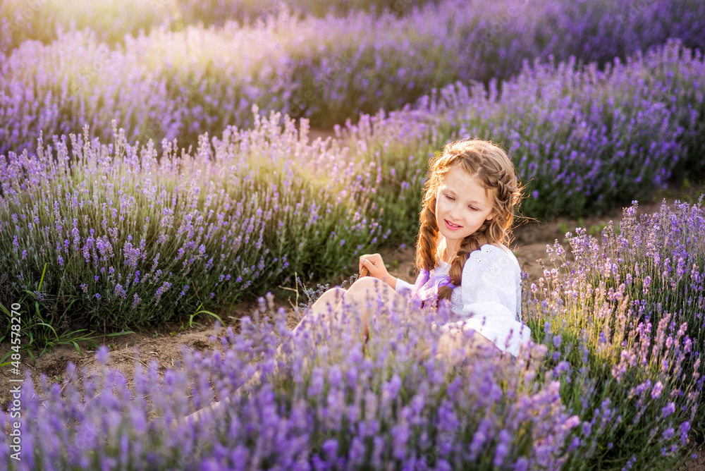 girl collects lavender. Summer photo with sunlight. girl collects lavender. Summer photo with sunlight.