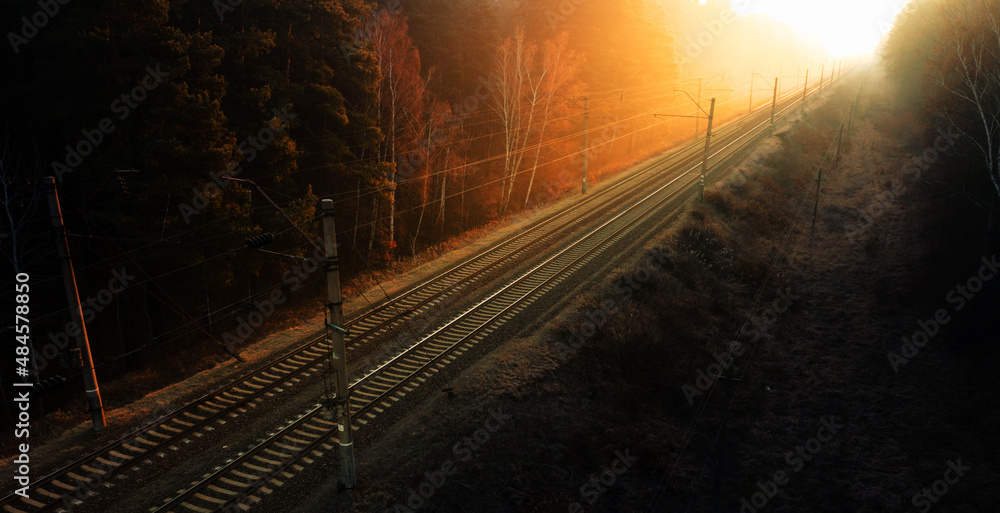 Empty railway track in the forest at sunset or dawn.